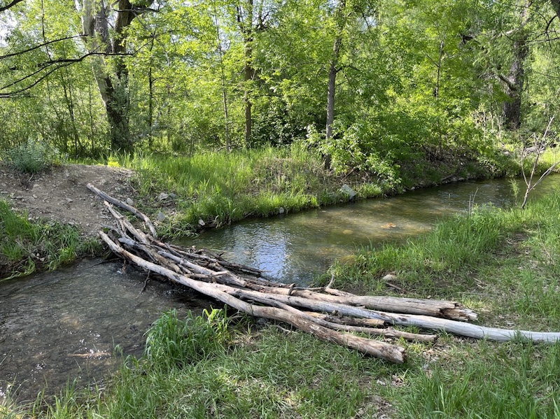 Coal Creek Trail, Aquarius Trailhead, Louisville, Colorado (May 2024)