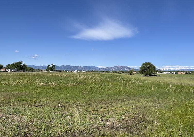 Coal Creek Trail, Aquarius Trailhead, Louisville, Colorado (May 2024)