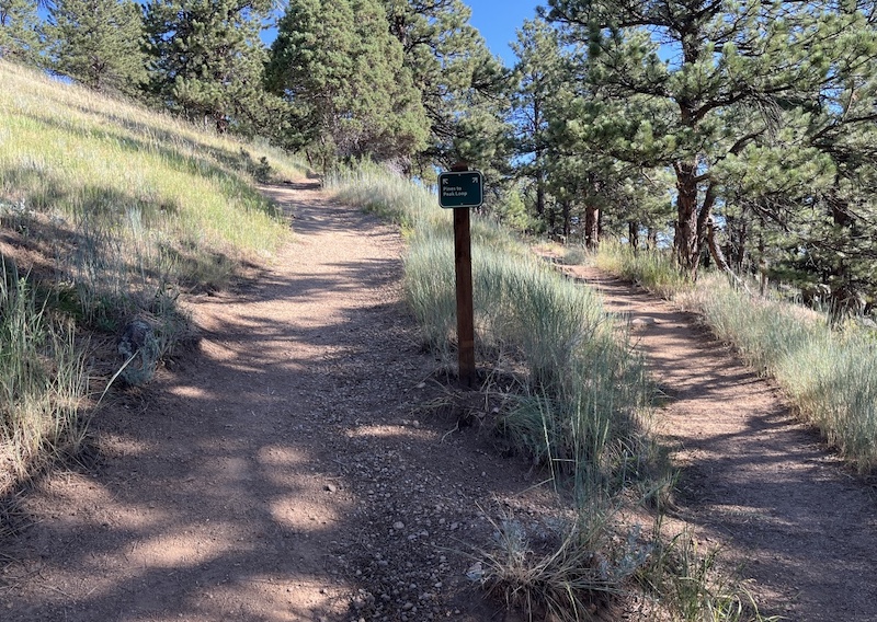 Pines to Peaks Loop, Blad Mountain, Boulder (July 2025)