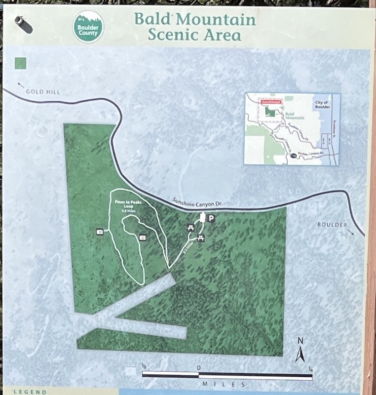 Pines to Peaks Loop, Blad Mountain, Boulder (July 2025)