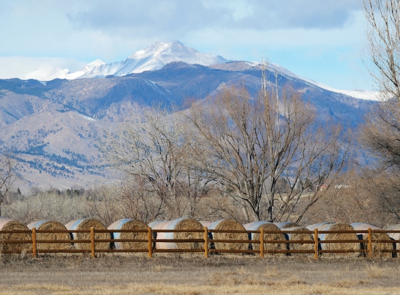 East Boulder Trail, Teller Farm North, Boulder (January 2025)