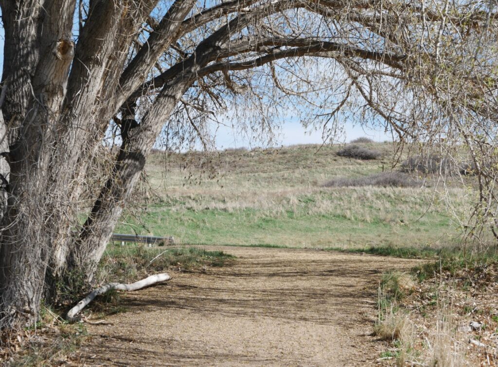 East Boulder Trail, Teller Farm North, Boulder (April 2025)