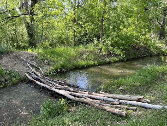 Aquarius Trail Louisville