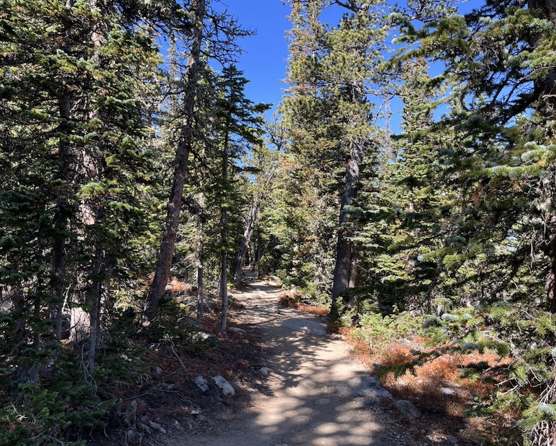 Brainard Lake コロラド州 Ward