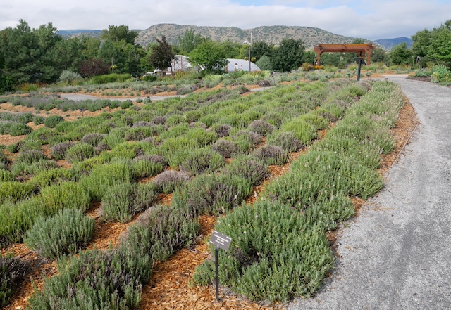 Chatfield Farm, Denver Botanic Garden デンバー植物園