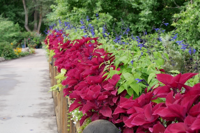 Chatfield Farm, Denver Botanic Garden デンバー植物園