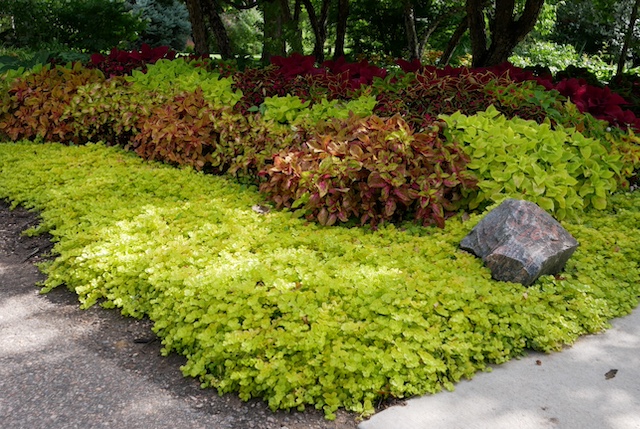 Chatfield Farm, Denver Botanic Garden デンバー植物園