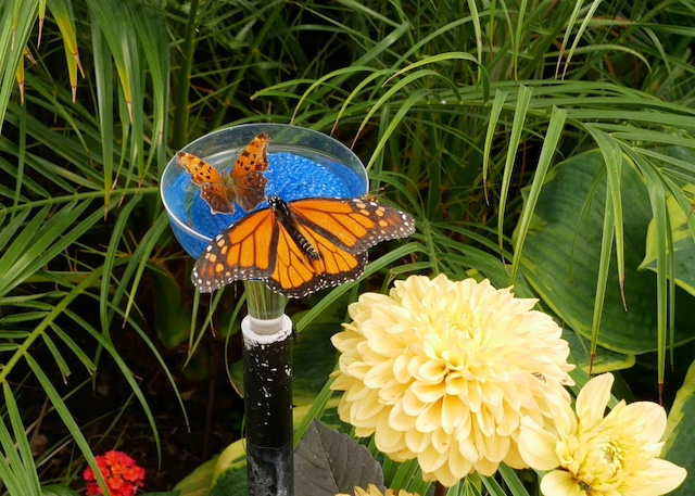 Chatfield Farm, Denver Botanic Garden デンバー植物園