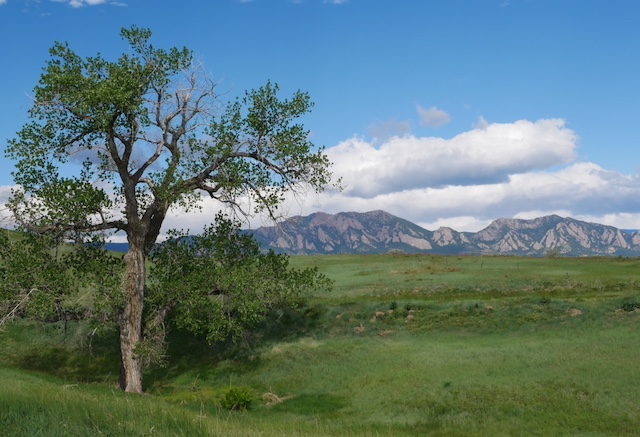 Davidson Mesa Trail, Louisville, CO