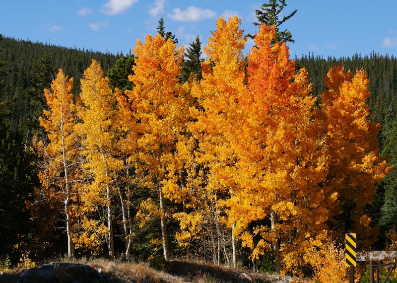 Brainard Lake コロラド州 Ward