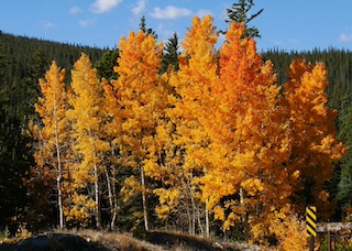 Brainard Lake コロラド州 Ward