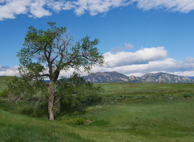 Meadowlark Trail Superior