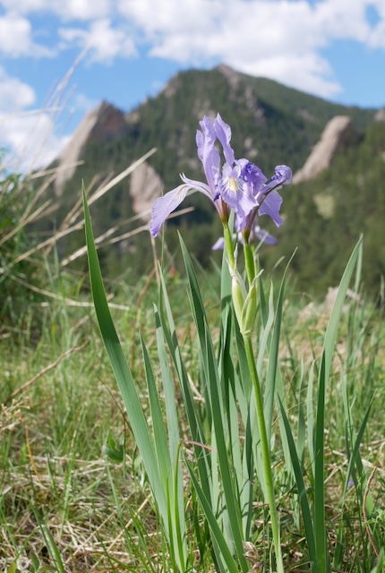 NCAR Trail ボルダー