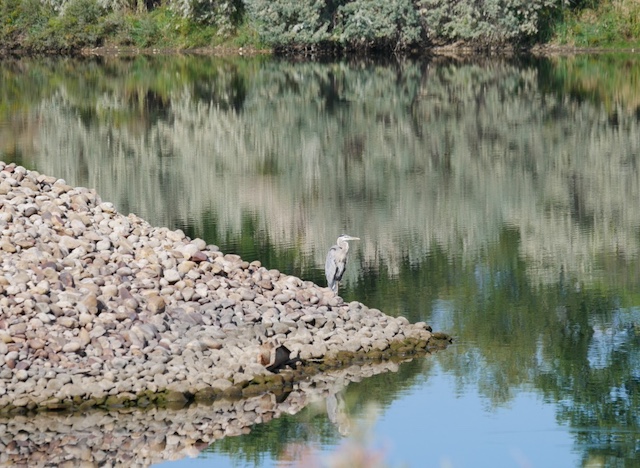 Sawhill Ponds Trail ボルダー トレイル