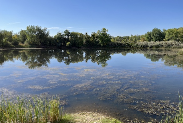 Sawhill Ponds Trail ボルダー トレイル