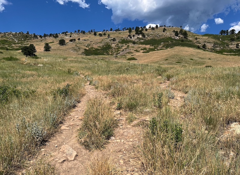 Foothills Trail Hogback Ridge