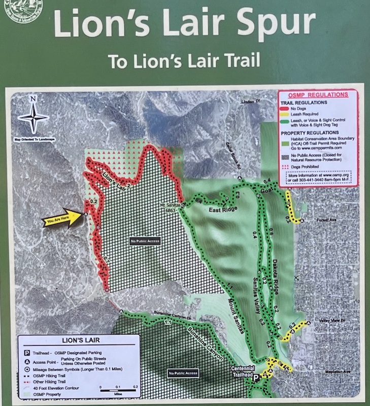 Lion's Lair, Boulder, Colorado