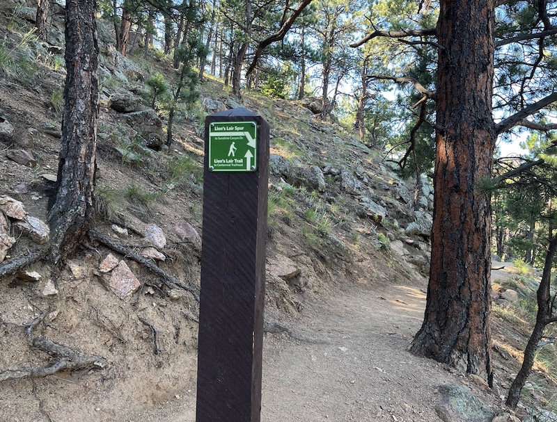 Lion's Lair. Boulder, Colorado