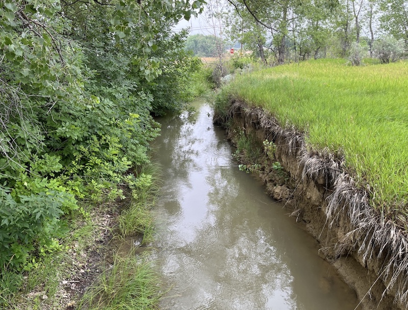 Niwot Loop, Boulder Cpunty Trails