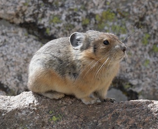 Boulder JP トップイメージ写真