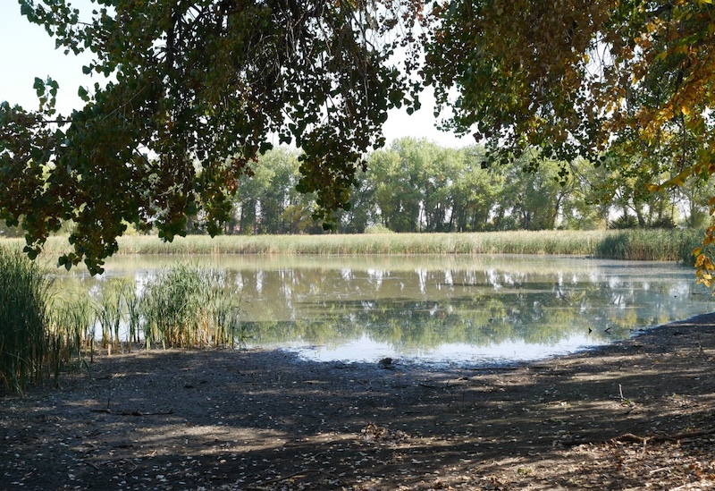 Lafayette市 Waneka Lake Park コロラド州