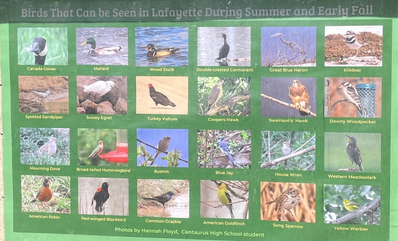 Lafayette市 Waneka Lake Park コロラド州