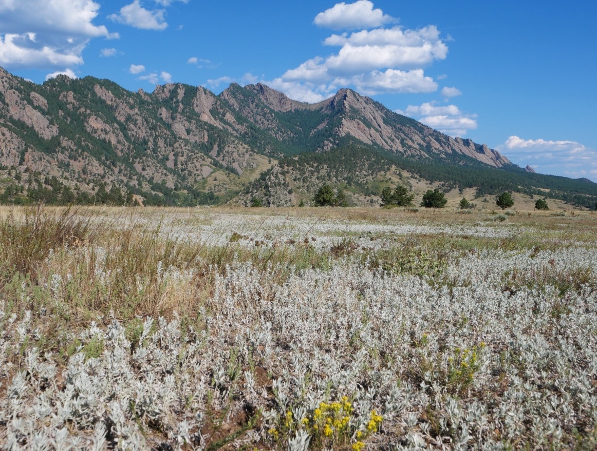 Doudy Draw Trailhead, Boulder, Colorado (September 2024)