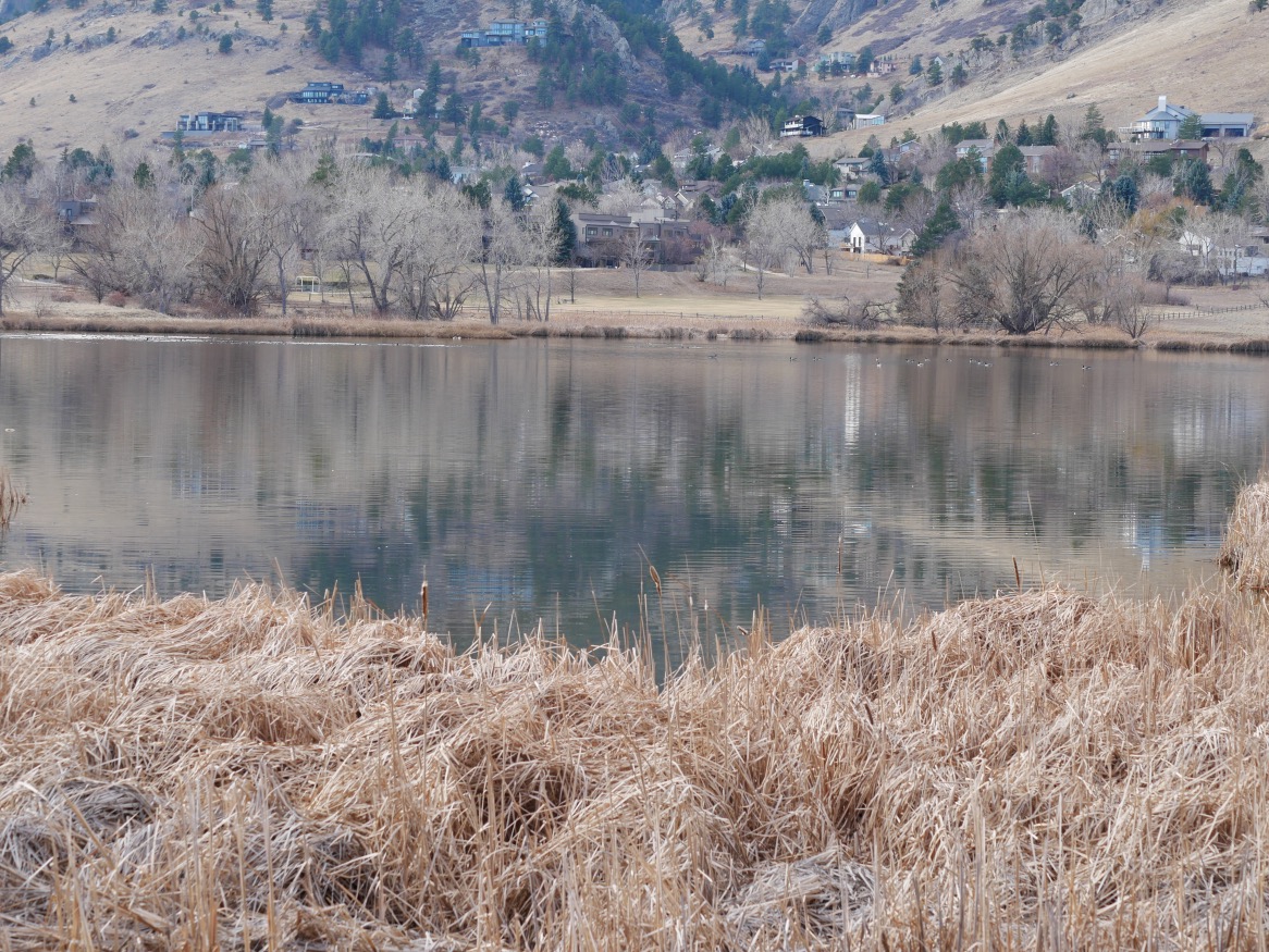 Wonderland Lake Trail, Boulder, Colorado (December 2024)
