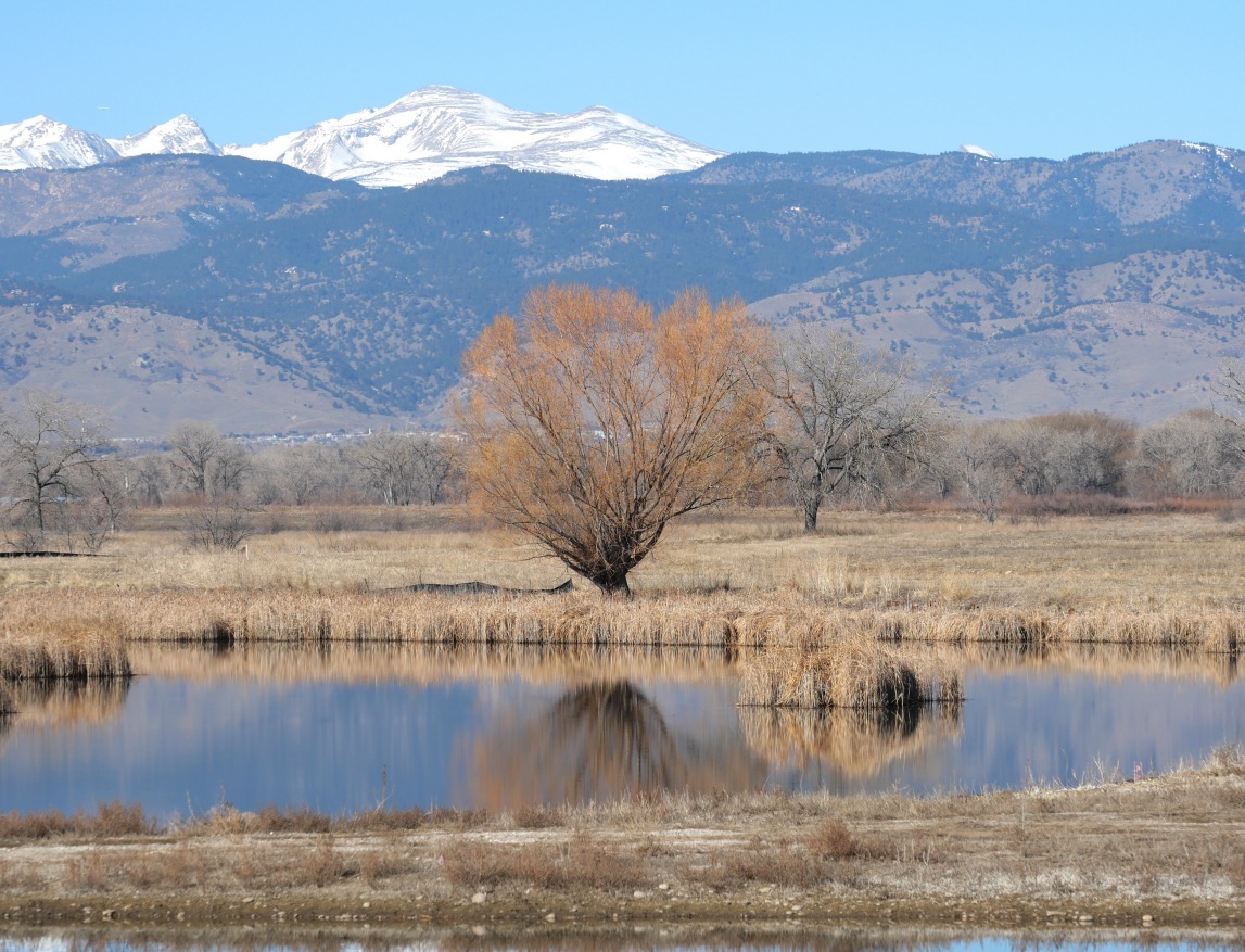 East Boulder Trail, Teller Farm North, Boulder (March 2025)