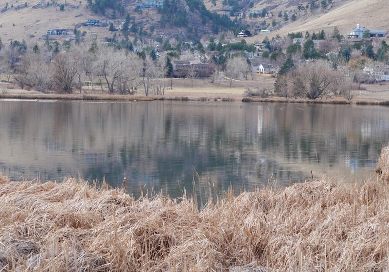 Wonderland Lake Trail, Boulder, Colorado (December 2024)