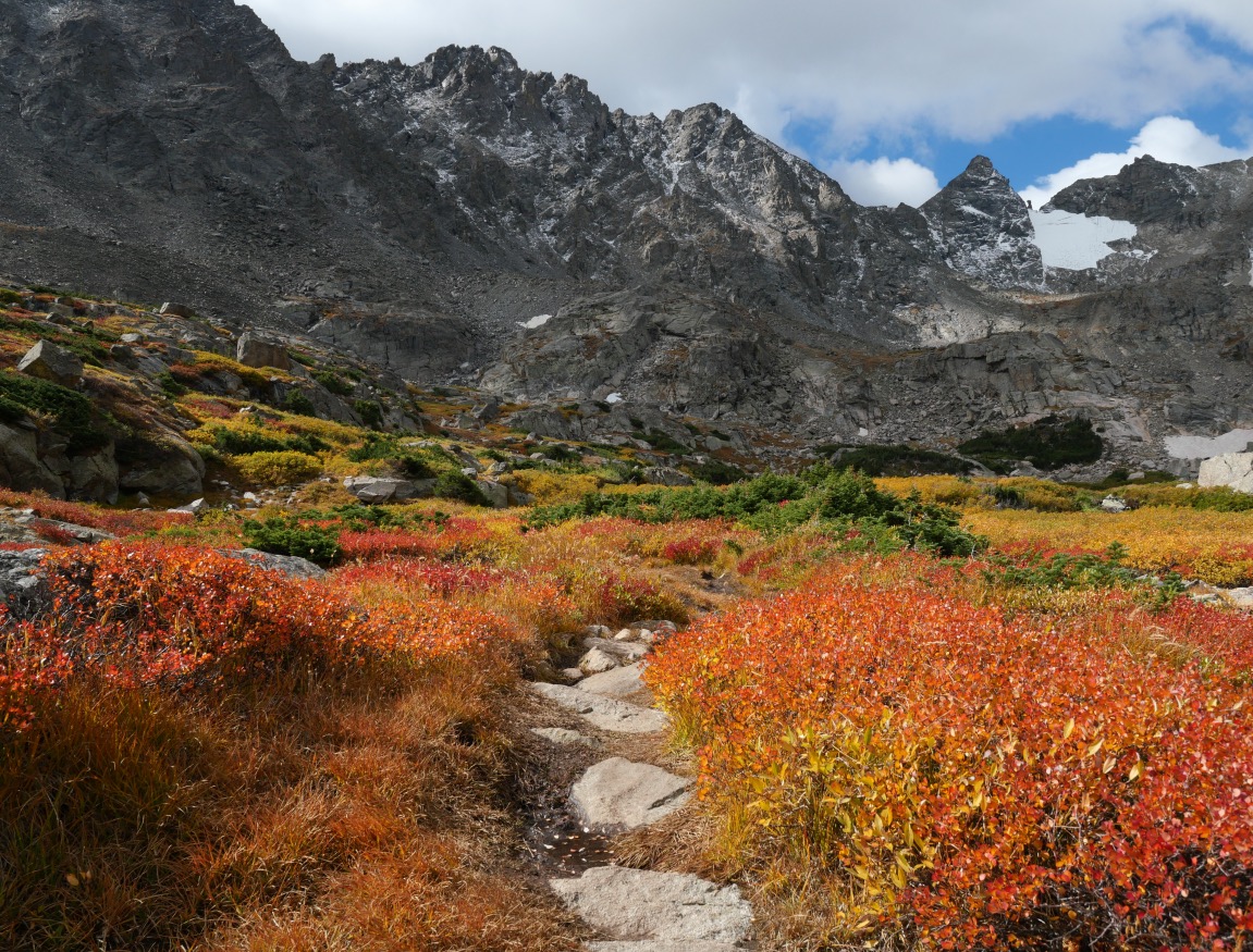 Autumn Alpine Trail with Red and Yellow Foliage, Pawnee Pass near Lake Isabelle, Indian Peaks Wilderness, Colorado (September 2025)