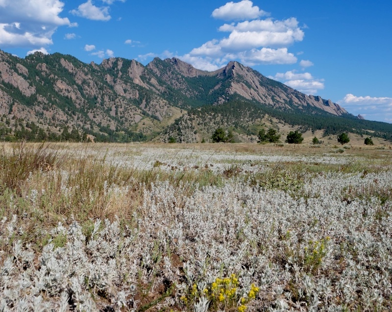 Doudy Draw Trailhead, Boulder, Colorado (September 2024)