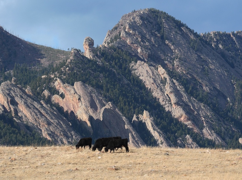 Doudy Draw Trailhead, Boulder, Colorado (December 2025)