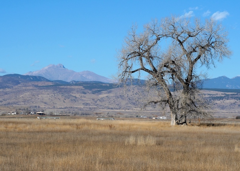 Lagerman Agricultural Preserve, Open Sky Loop, Longmont (November 2025)