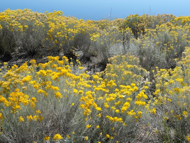 Pella Crossing, Longmont, Colorado (September 2025)