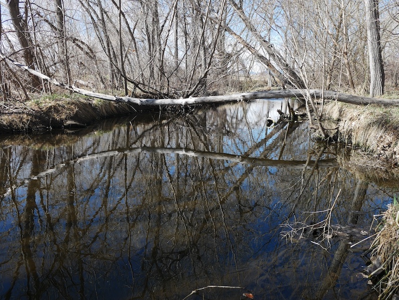 S Public Rd Trailhead, Coal Creek Trail, Lafayette, Colorado (March 2025)