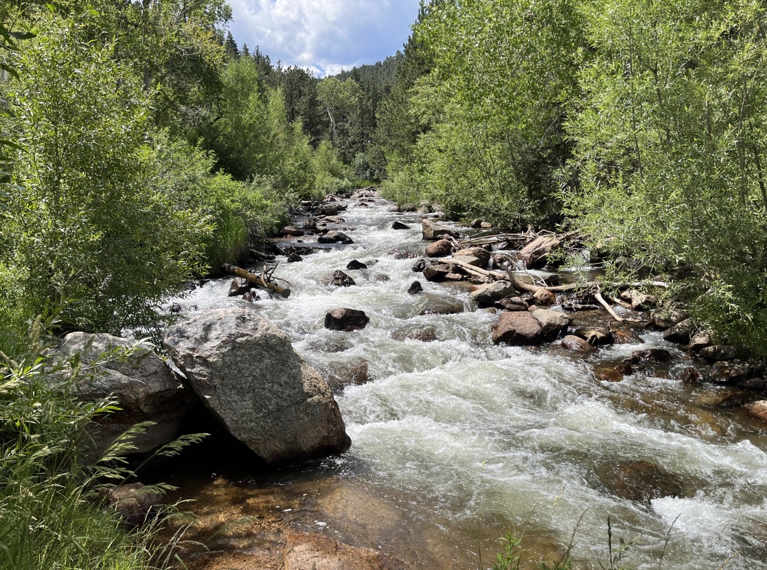 Left Hand Creek, Buckingham Park, Boulder, Colorado (July 2025)