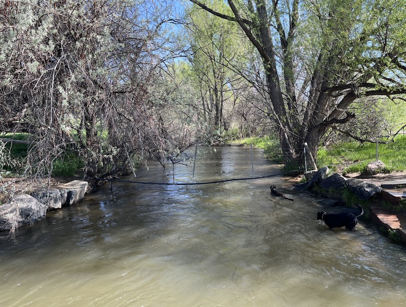 Dry Creek Trail, Boulder, Colorado (May 2024)