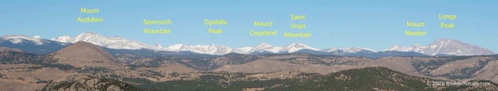 Lost Gulch, Boulder, Colorado (February 2026)