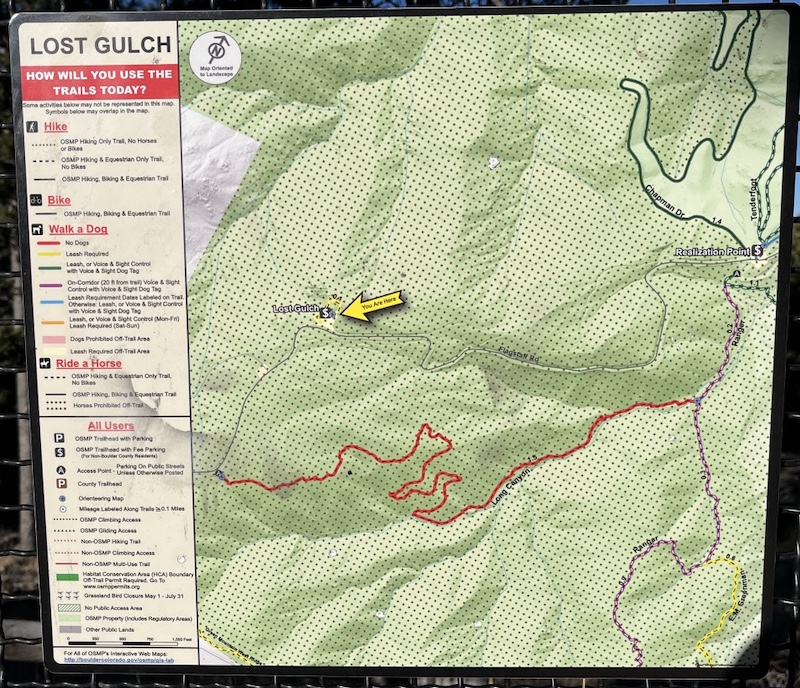 Lost Gulch, Boulder, Colorado (February 2026)