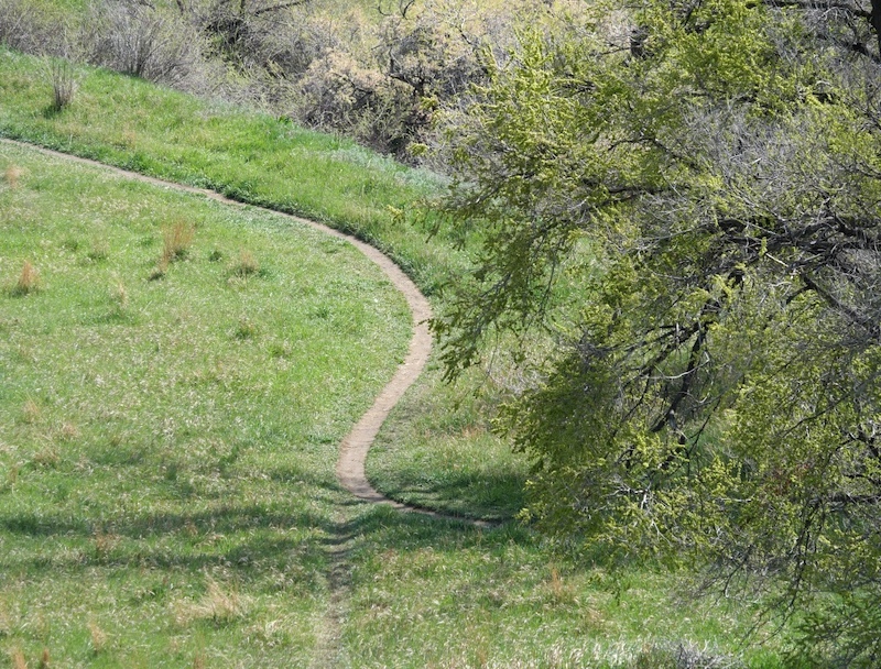 Powerline Trail, Louisville, Colorado (April 2025)