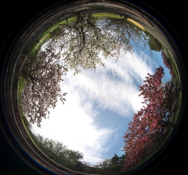 撮影例、Laowa 4mm F2.8 MFT 全周魚眼レンズ