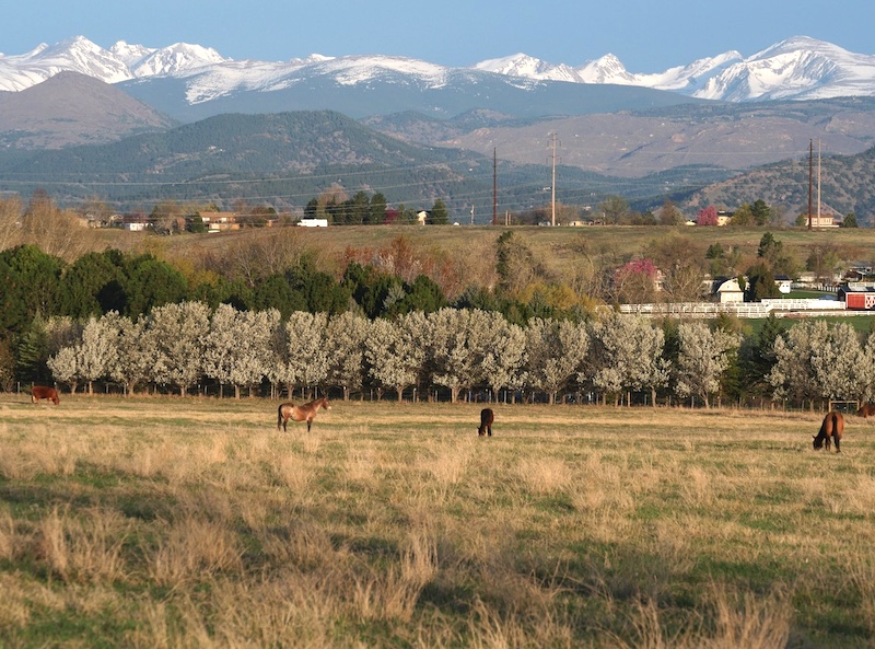 撮影例, OM SYSTEM Olympus M.Zuiko Digital ED 40-150mm F4.0
