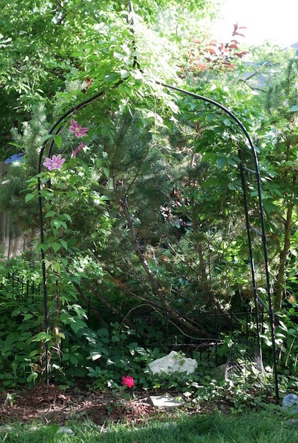 撮影例、M.Zuiko Digital 25mm F1.8 MFT レンズ