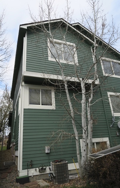 Venus Laowa 7.5mm F2 MFT マイクロフォーサーズ