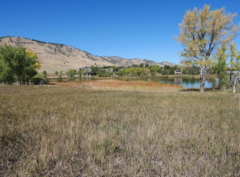 撮影例、LEICA 12-60mm MFT VARIO-ELMARIT F2.8-4.0