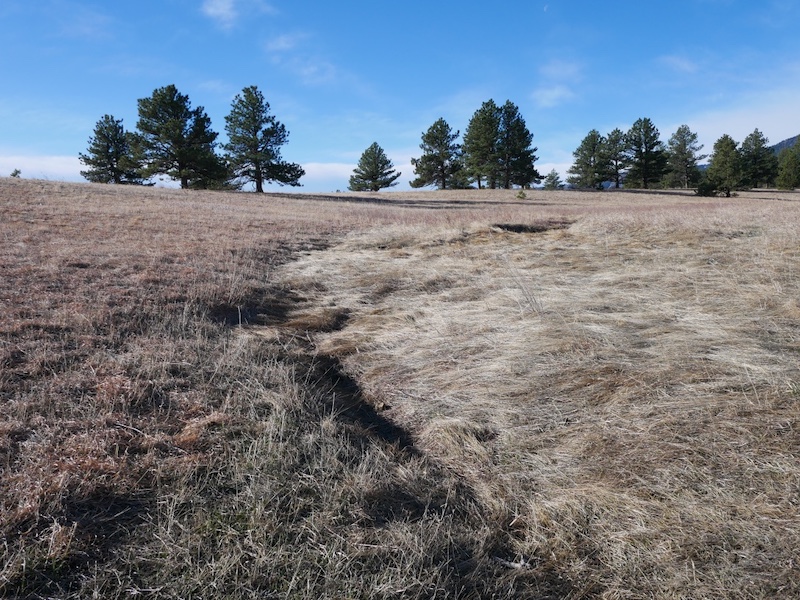撮影例, Lumix G Series 14mm F2.5, MFT マイクロフォーサーズレンズ
