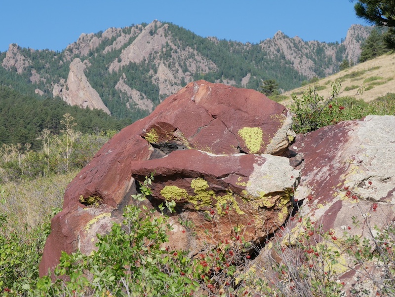 撮影例、LEICA 12-60mm MFT VARIO-ELMARIT F2.8-4.0