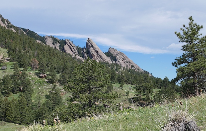 撮影例、M.Zuiko Digital 25mm F1.8 MFT レンズ