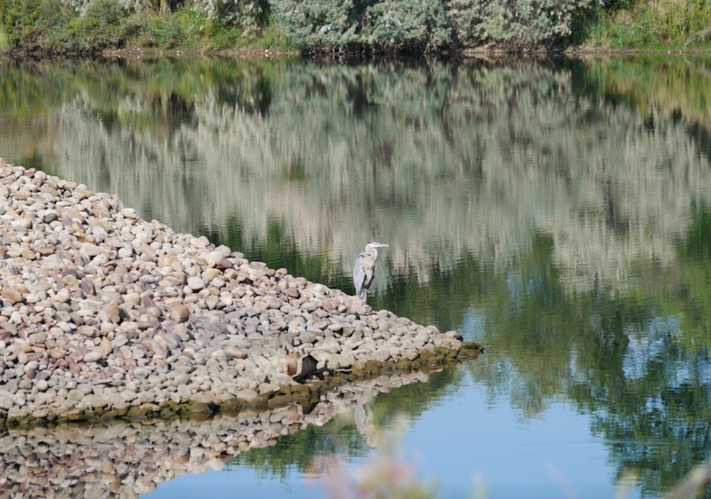 撮影例, OM SYSTEM Olympus M.Zuiko Digital ED 40-150mm F4.0